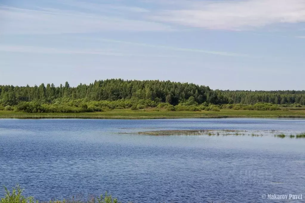 Участок в Тверская область, Оленинский район, д. Дубровка  (45.55 ... - Фото 0