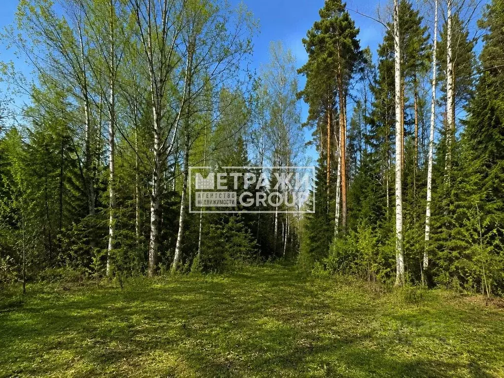 Участок в Московская область, Щелково городской округ, пос. Литвиново ... - Фото 1