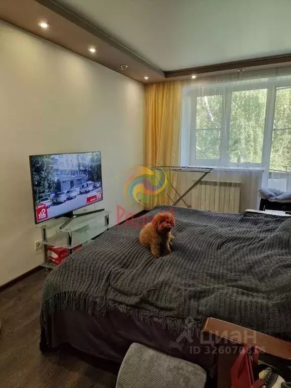 3-к кв. Ивановская область, Иваново Ташкентская ул., 79 (63.4 м) - Фото 1