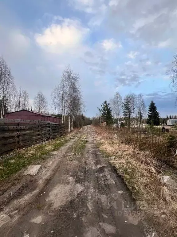 Участок в Архангельская область, Приморский муниципальный округ, ... - Фото 0
