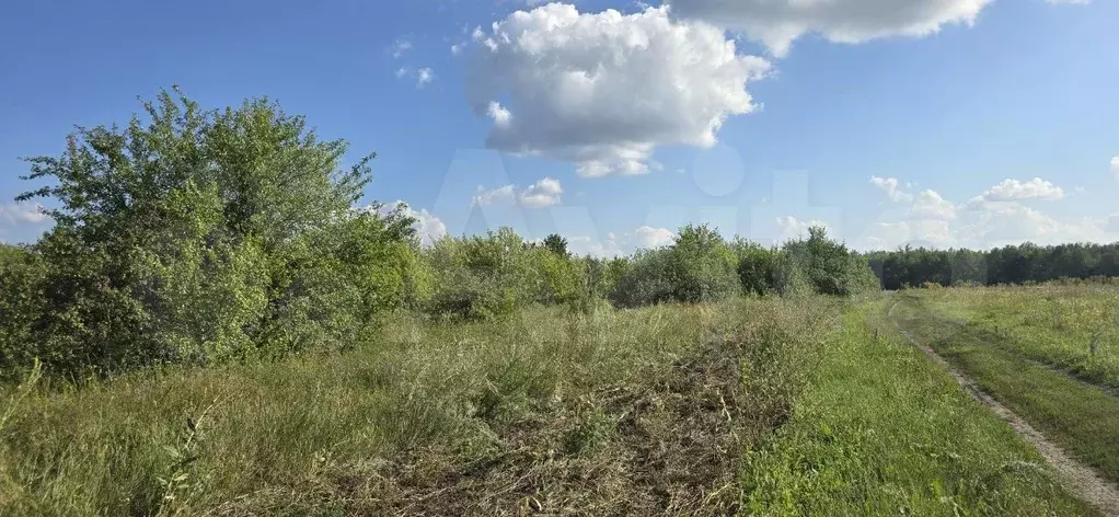 Участок 15 сот. (СНТ, ДНП) - Фото 1