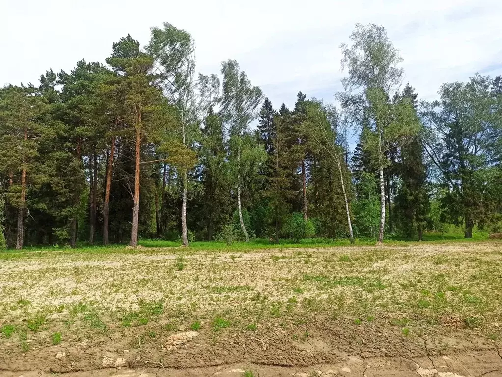 Участок в Московская область, Пушкинский городской округ, д. Костино, ... - Фото 0