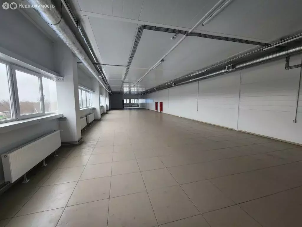 Офис (290 м) - Фото 2