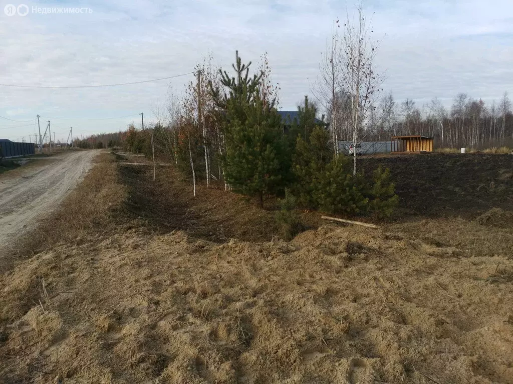 Участок в Тюменский муниципальный округ, деревня Якуши, Звёздная улица ... - Фото 2