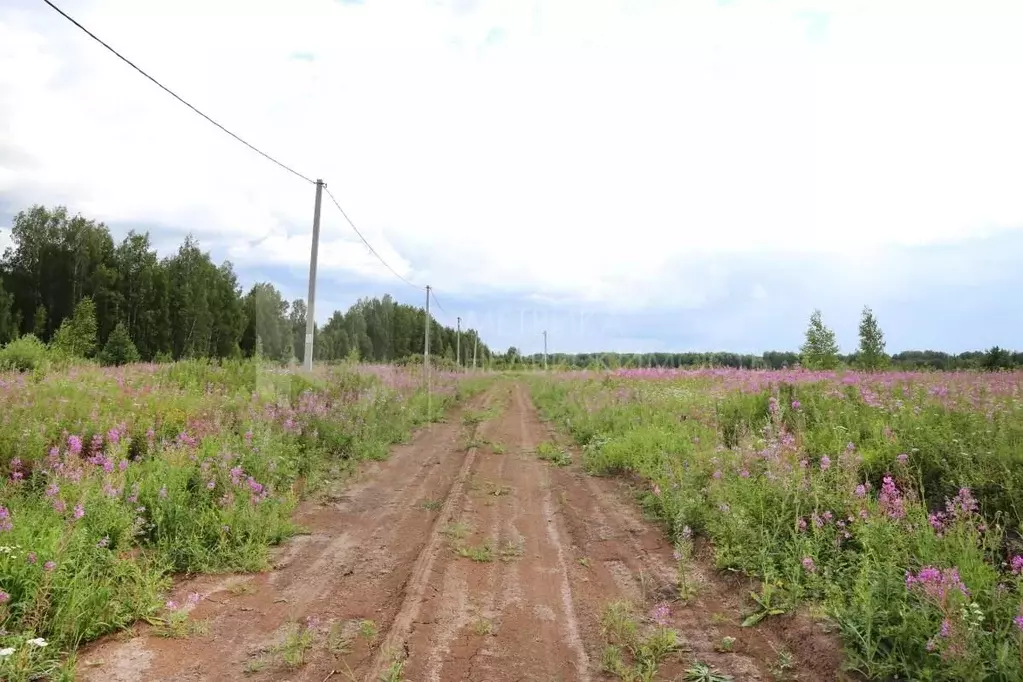 Участок в Тюменская область, Тюменский район, с. Кулига, Кулига-2 мкр  ... - Фото 0