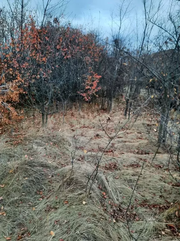 Участок в Саратовская область, Энгельсский район, Красноярское ... - Фото 1