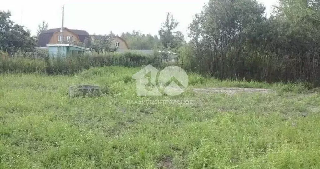 Участок в Новосибирская область, Мошковский район, Ромашка-1 СНТ 136 ... - Фото 1