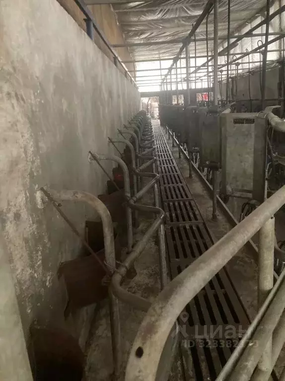 Участок в Ставропольский край, Шпаковский муниципальный округ, ... - Фото 2