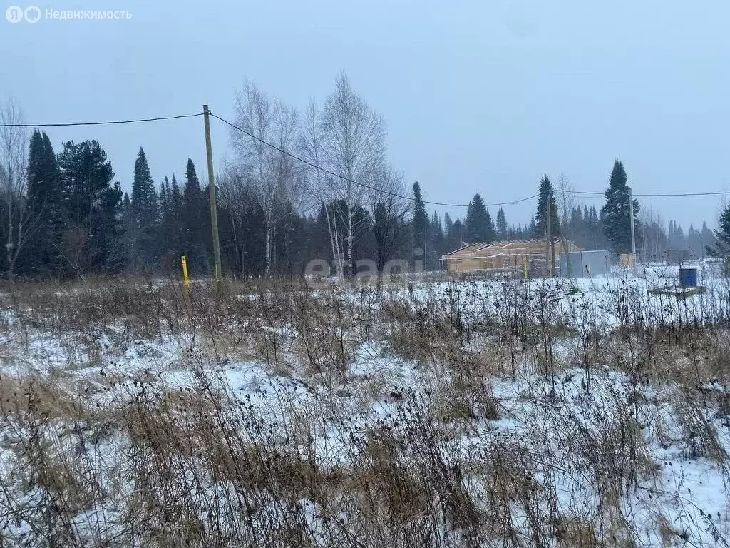 Дом в село Андреевка, Таёжная улица (30.4 м) - Фото 0