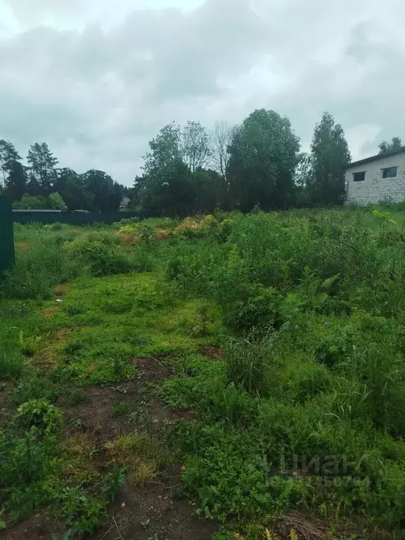 Участок в Московская область, Клин городской округ, с. Нагорное 10Б ... - Фото 1