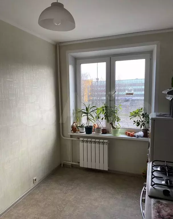 1-к. квартира, 32,3 м, 4/12 эт. - Фото 0