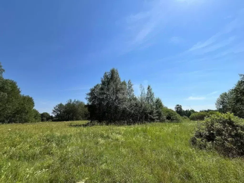 Участок в Владимирская область, Александровский муниципальный округ, ... - Фото 2