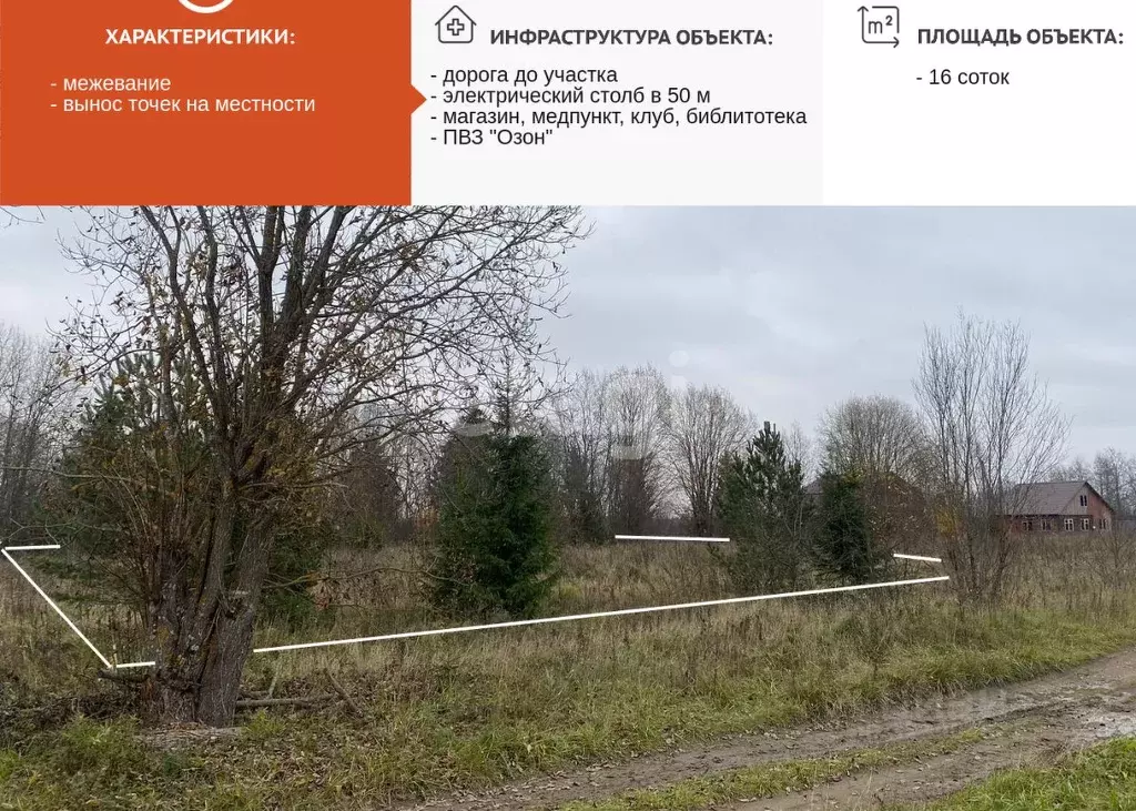 Участок в Вологодская область, Кирилловский муниципальный округ, д. ... - Фото 1