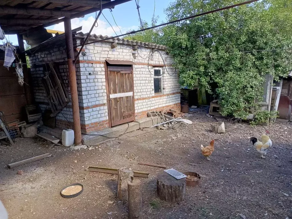 Дом в Белгородская область, Яковлевский муниципальный округ, пос. ... - Фото 0