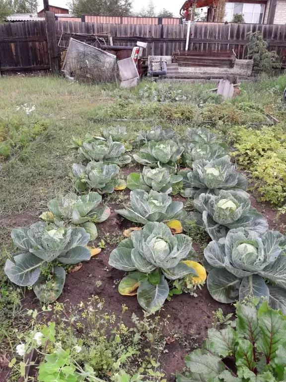 Участок в Саха (Якутия), Якутск ул. Ойунского, 8 (12.0 сот.) - Фото 1