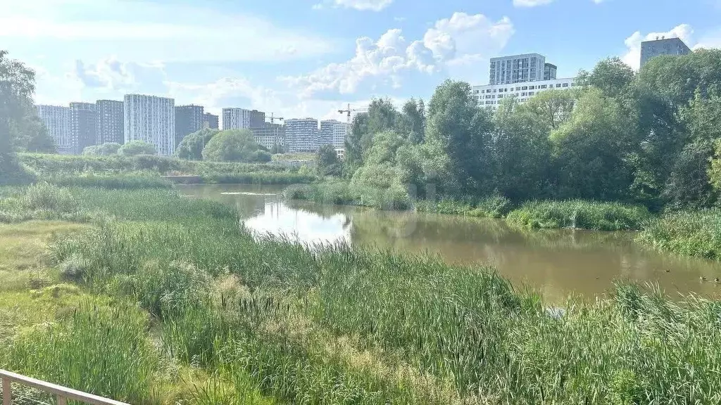 Участок в Москва д. Николо-Хованское, 132 (11.0 сот.) - Фото 1