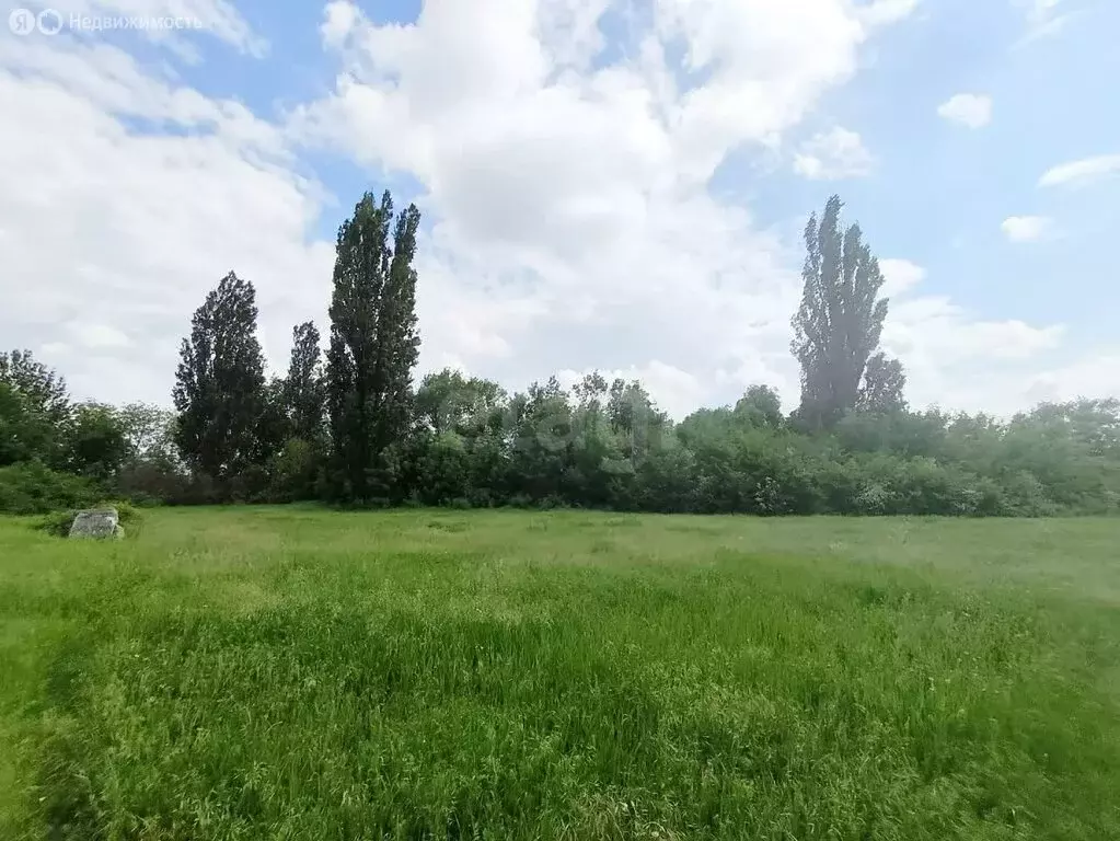 Участок в Зыбины, Цветочная улица (13.2 м) - Фото 1