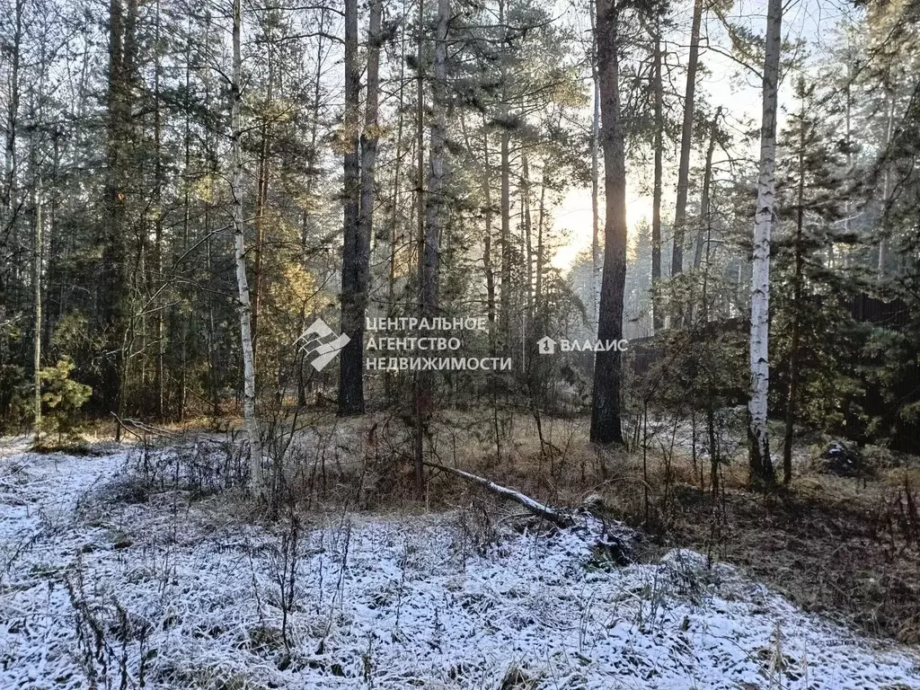 Участок в Рязанская область, Рязанский муниципальный округ, с. ... - Фото 1