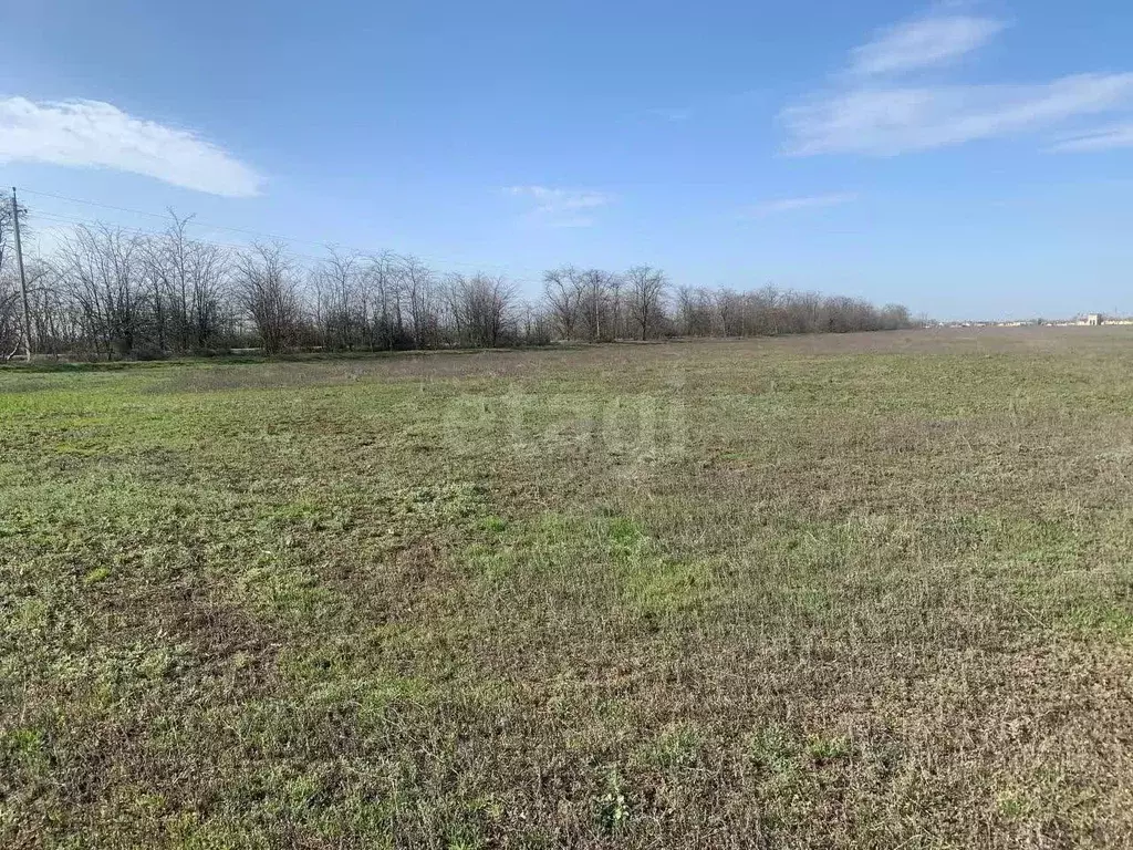 Участок в Крым, Красногвардейский район, Колодезянское с/пос, с. ... - Фото 1