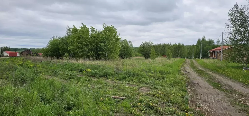 Участок в Московская область, Луховицы муниципальный округ, д. Берхино ... - Фото 1