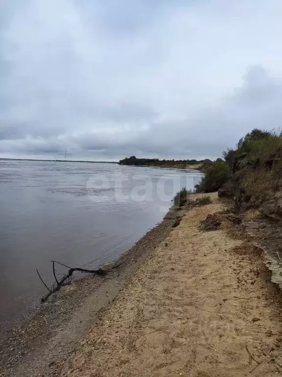 Участок в Амурская область, Благовещенский район, с. Усть-Ивановка  ... - Фото 0