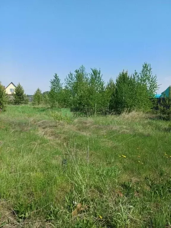 Участок в Курганская область, Кетовский муниципальный округ, с. ... - Фото 2
