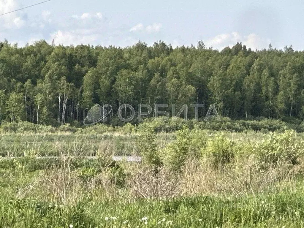 Участок в Тюменская область, с. Нижняя Тавда  (12880.0 сот.) - Фото 0