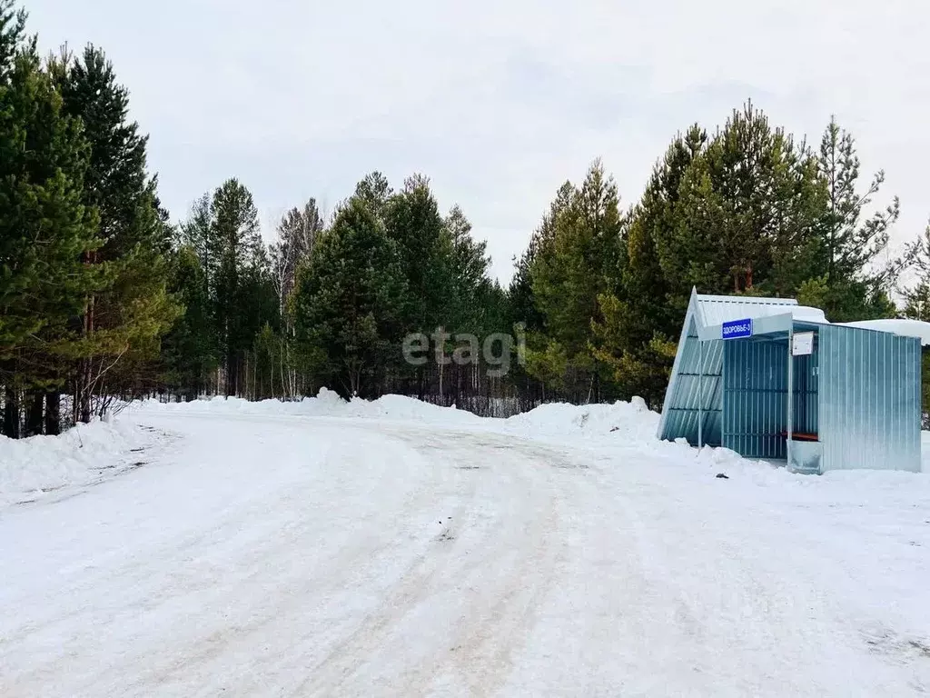 Участок в Тюменская область, Уватский муниципальный округ, с. Красный ... - Фото 1