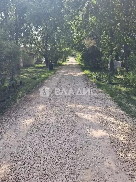 Участок в Владимирская область, Суздальский район, Новоалександровское ... - Фото 2