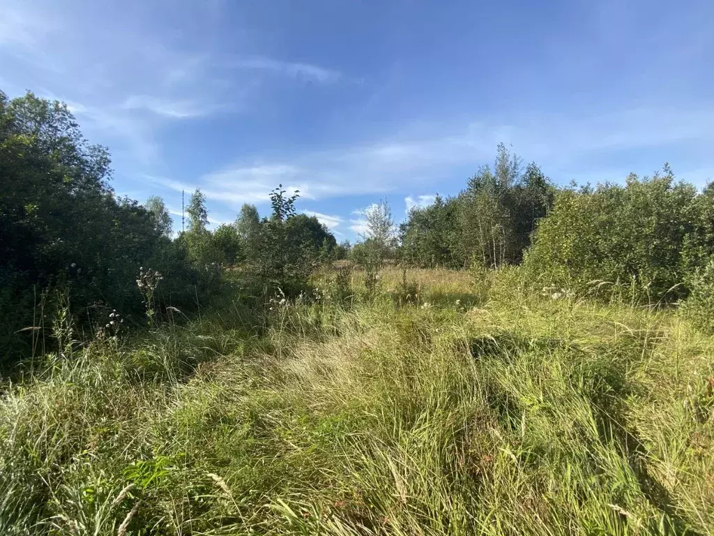 Участок в Московская область, Истра муниципальный округ, д. ... - Фото 1