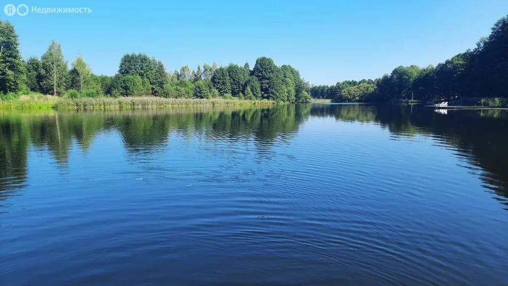 Участок в Смоленская область, Рославльский муниципальный округ, ... - Фото 0