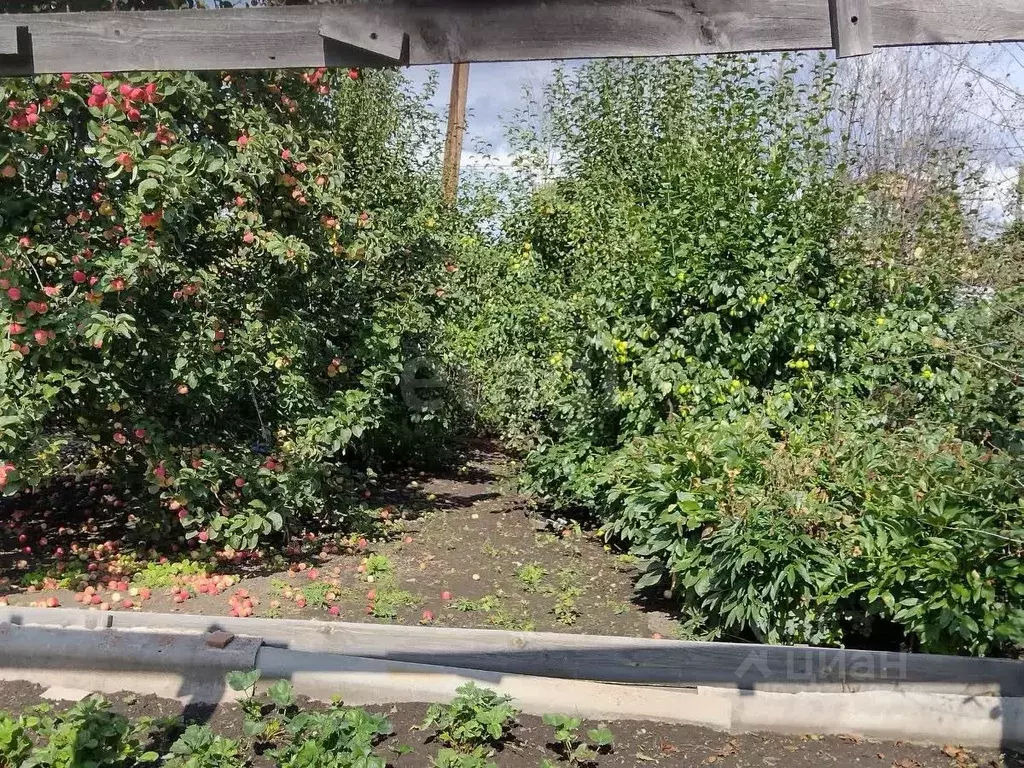 Участок в Челябинская область, Озерск Уралец СНТ, 86 (619.0 сот.) - Фото 1