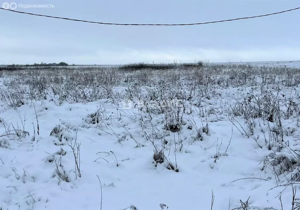 Участок в село Бессоновка, 4-й Берёзовый проезд (9.59 м) - Фото 0