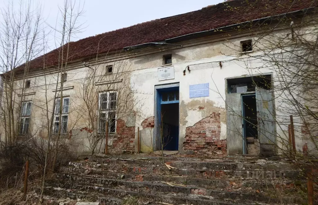 Помещение свободного назначения в Калининградская область, Правдинский ... - Фото 2