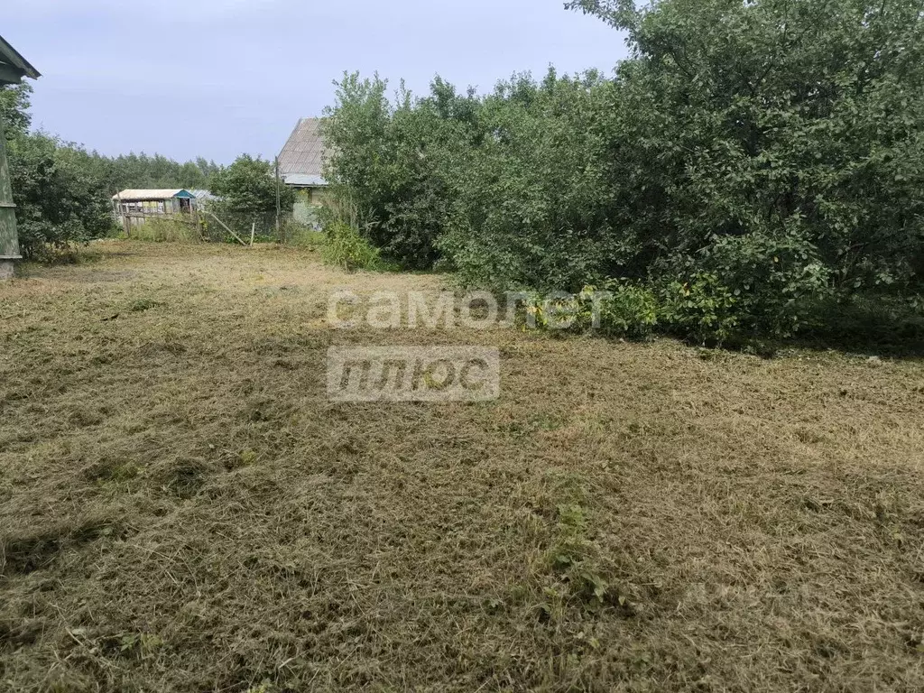 Участок в Московская область, Солнечногорск городской округ, д. ... - Фото 1