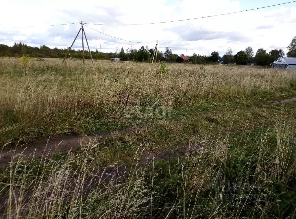 Участок в Вологодская область, д. Коробово  (16.26 сот.) - Фото 1