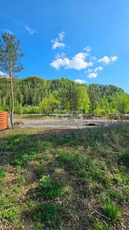 Участок в Алтай, Майминский район, Соузгинское с/пос, пос. Черемшанка ... - Фото 1