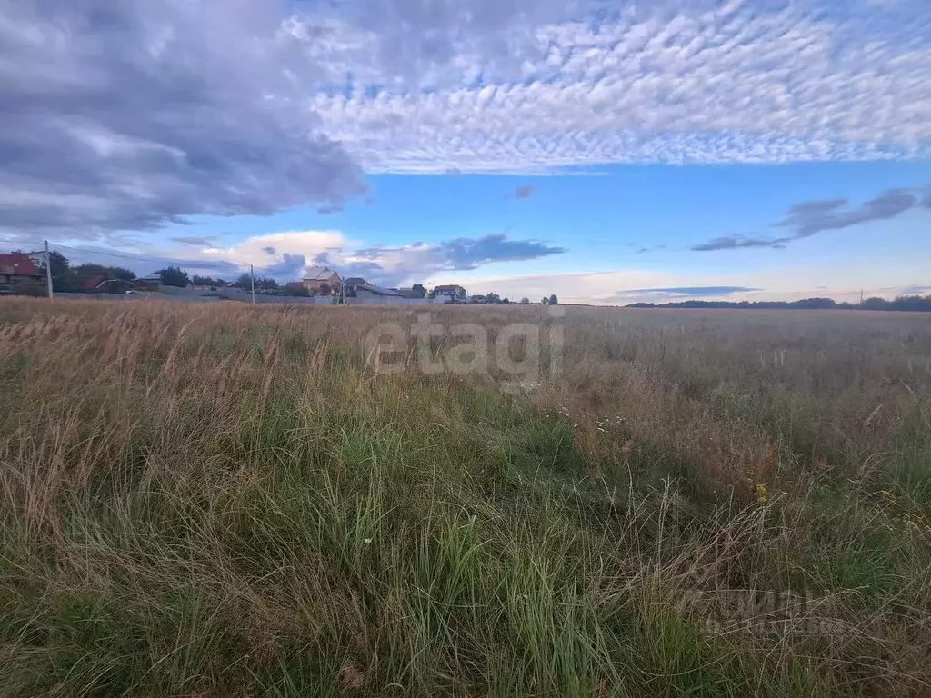 Участок в Владимирская область, Покров городской округ, пос. Нагорный ... - Фото 2