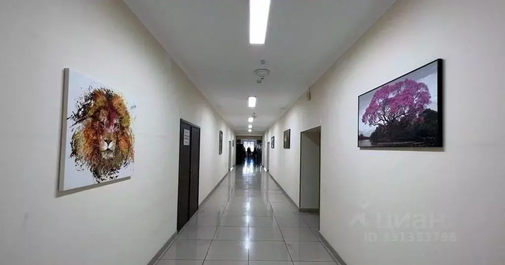 Офис в Краснодарский край, Сочи Пластунская ул., 47А (26 м) - Фото 2