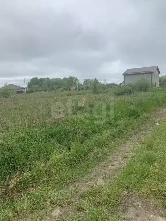 Участок в Калининградская область, Гурьевский муниципальный округ, ... - Фото 0