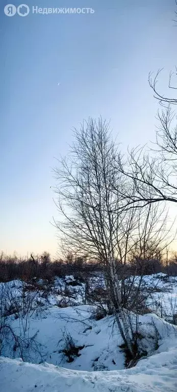 Участок в Приморский край, Яковлевский муниципальный округ, ... - Фото 2