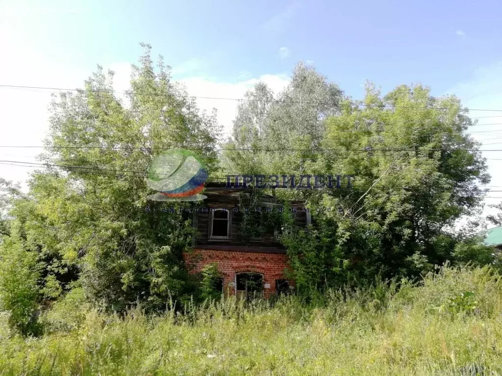 Дом в Нижегородская область, Вачский муниципальный округ, село ... - Фото 0