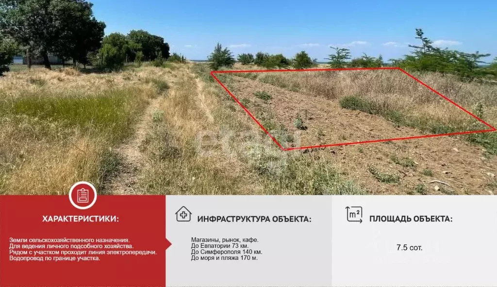 Участок в Крым, Раздольненский район, Славновское с/пос, с. Стерегущее ... - Фото 2