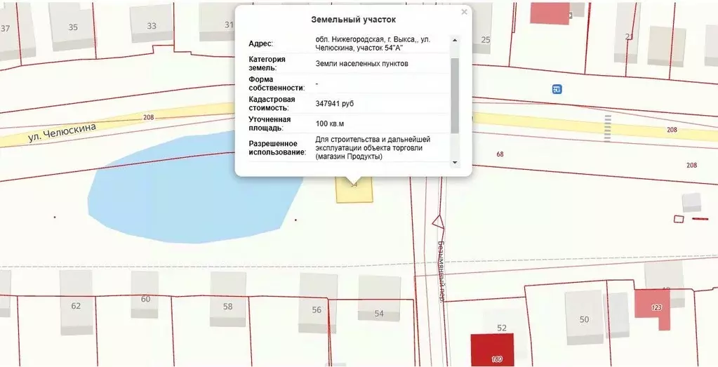 Участок в Нижегородская область, Выкса ул. Челюскина (1.0 сот.) - Фото 1