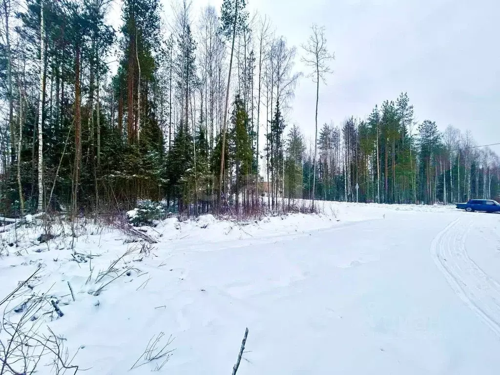 Участок в Коми, Сыктывкар Центральная ул. (10.5 сот.) - Фото 2