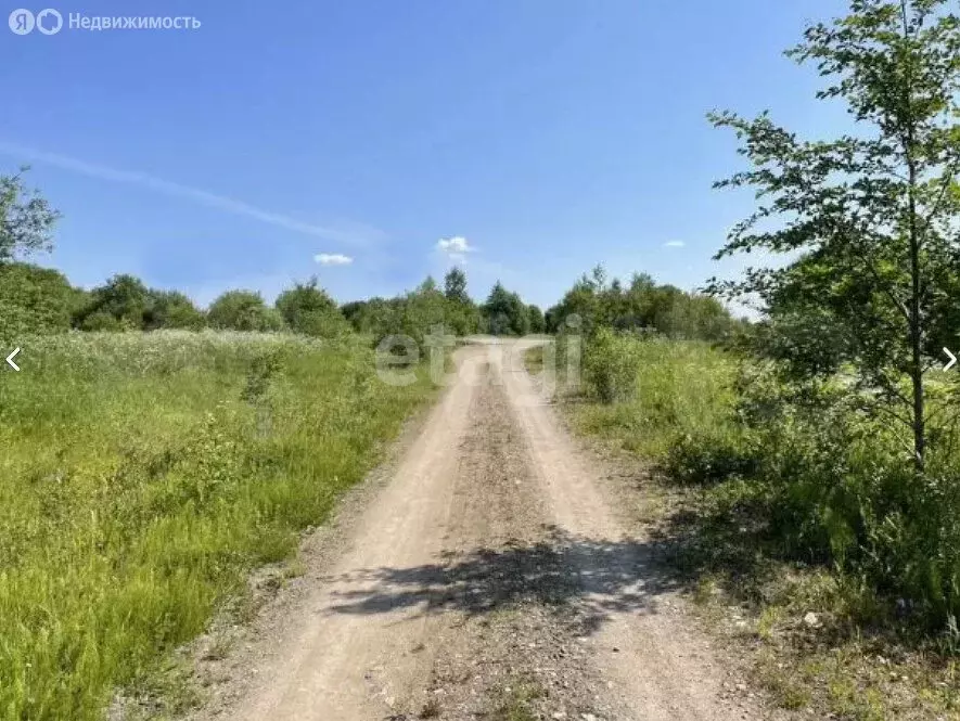 Участок в Вологодская область, Кирилловский муниципальный округ, ... - Фото 0
