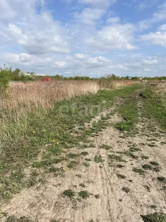 Участок в Калининградская область, Гурьевский муниципальный округ, ... - Фото 1