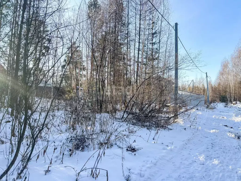 Участок 13,3 сот. (ИЖС) - Фото 0