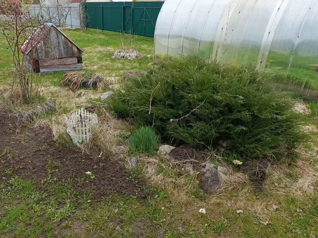 Дом в Ярославская область, Рыбинский муниципальный округ, Чайка ДНТ 45 ... - Фото 1