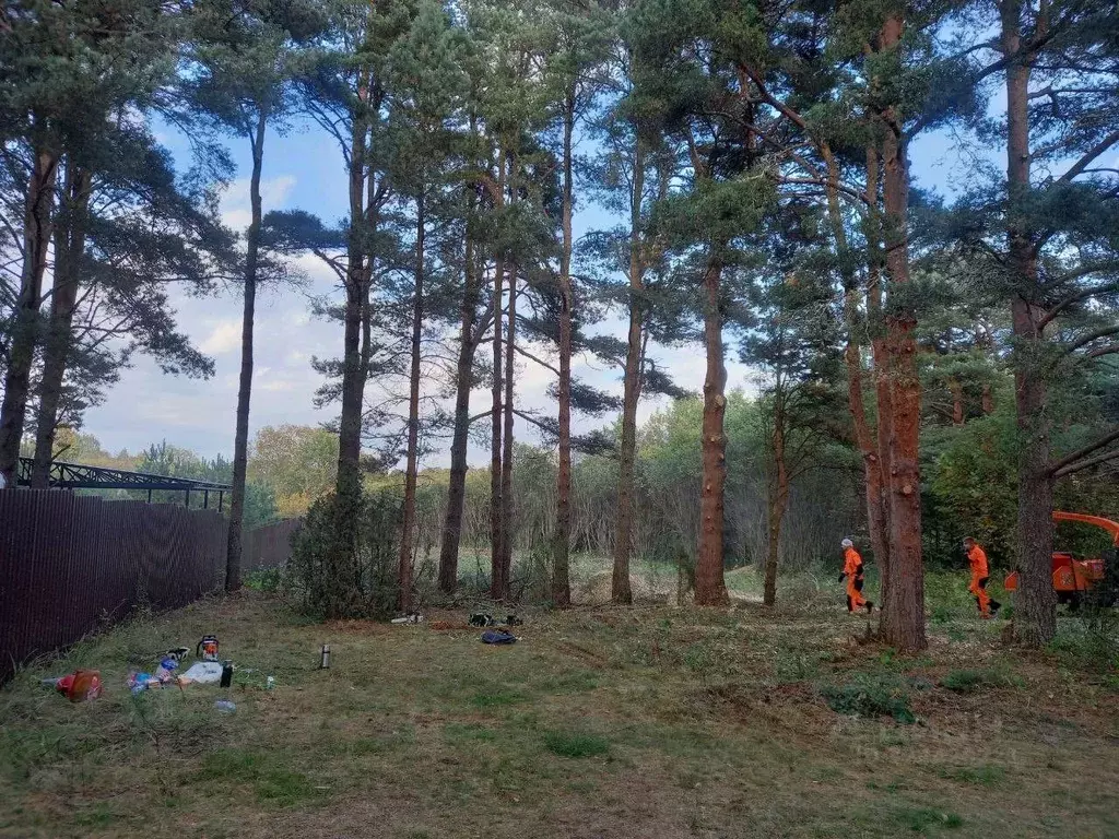 Участок в Ленинградская область, Волховский район, Потанинское с/пос, ... - Фото 1